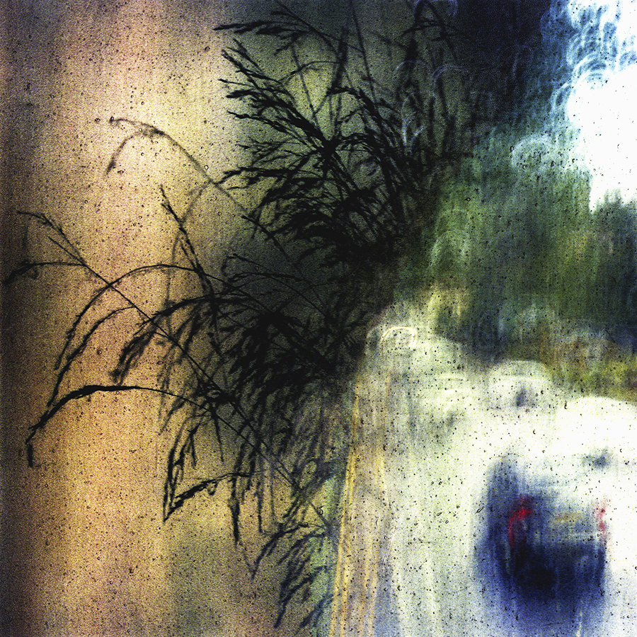 Road & Nature