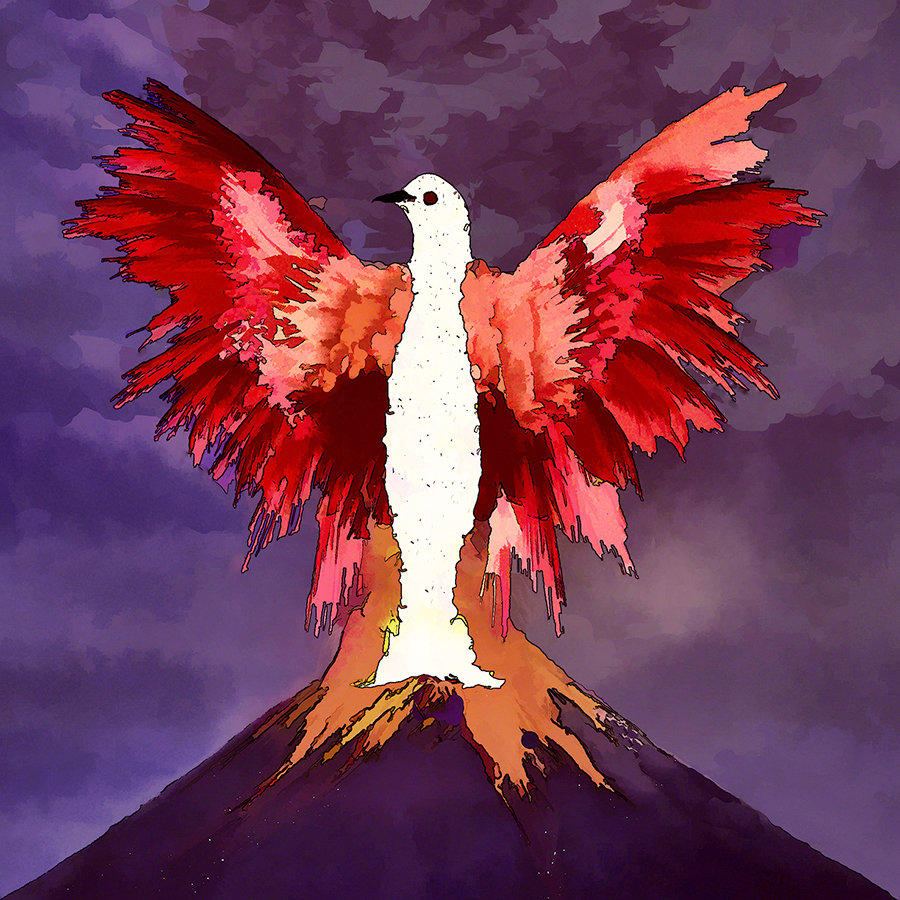 Volcano Dove