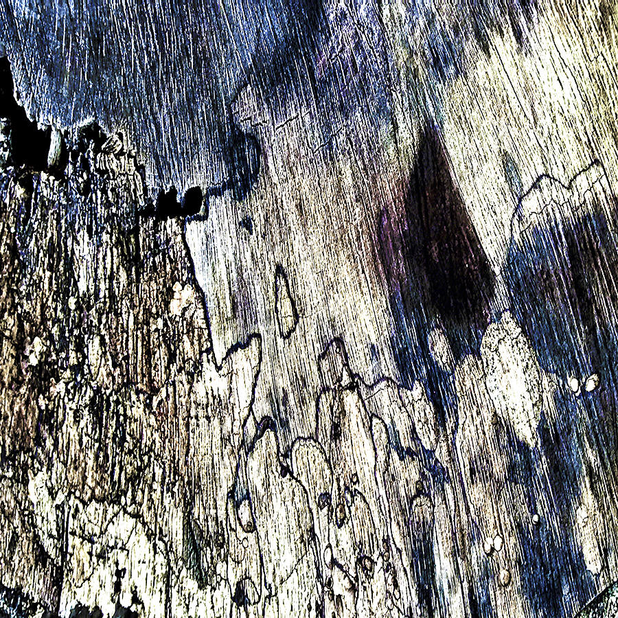 Wood Surface