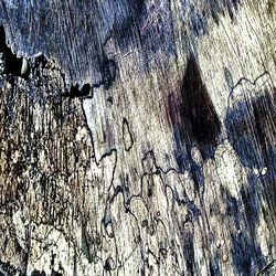 Wood Surface