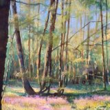 Bluebells in Norsey Woods