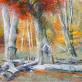 Autumn Colours Epping Forest