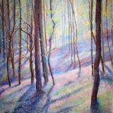 Bluebells in Norsey Wood