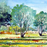 Villa garden study in watercolour - Portugal