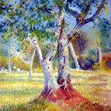 Portuguese Olive Tree Study