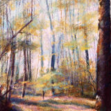 Spring in Norsey Woods