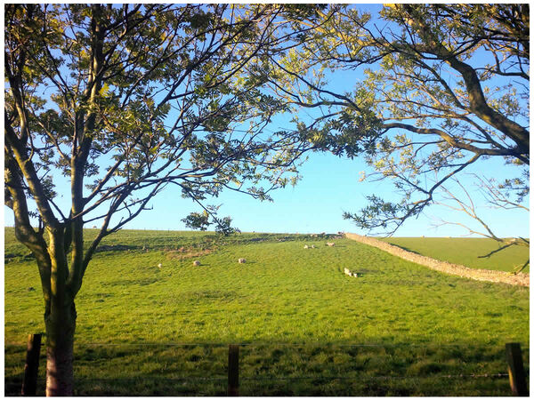 View South from Bedroom 2