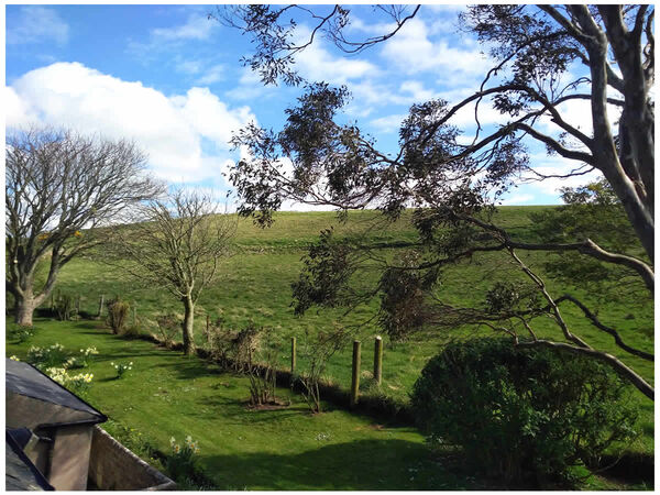 Bedroom 3 View from south-facing Velux