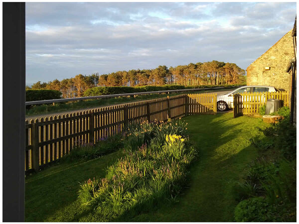 Early May Morning Sun