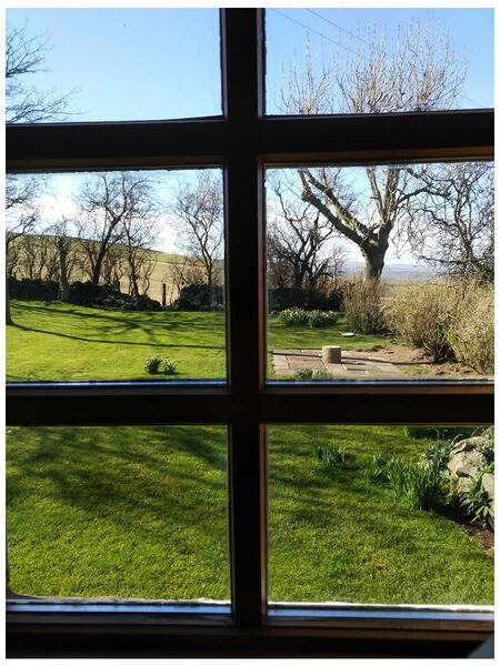 Lounge East Window 24 March