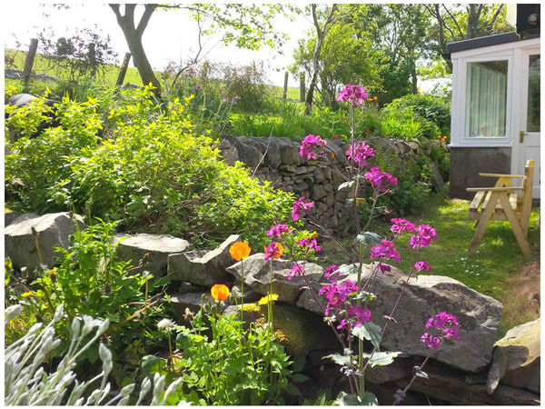 A Little Piece of Paradise