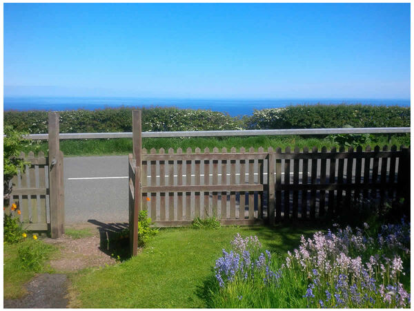 View from Kitchen West Window