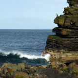 Bird on the Rocks