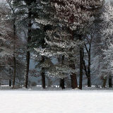 Chilly Day