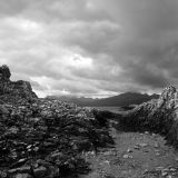Cullin View