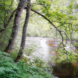 DOWN BY THE RIVER