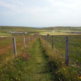 Marwick Head Walk