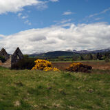 Kiltearn Springtime