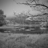 Misty Moments