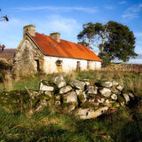 The Rusty Red Roof