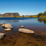 Tranquility