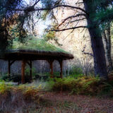 Mag's Wood
