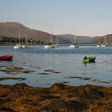 Red & Green Boats