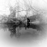 The Boatshed