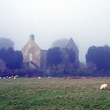 Misty Day