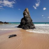 Pointy Rock
