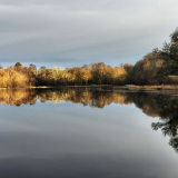 River Conon Reflections