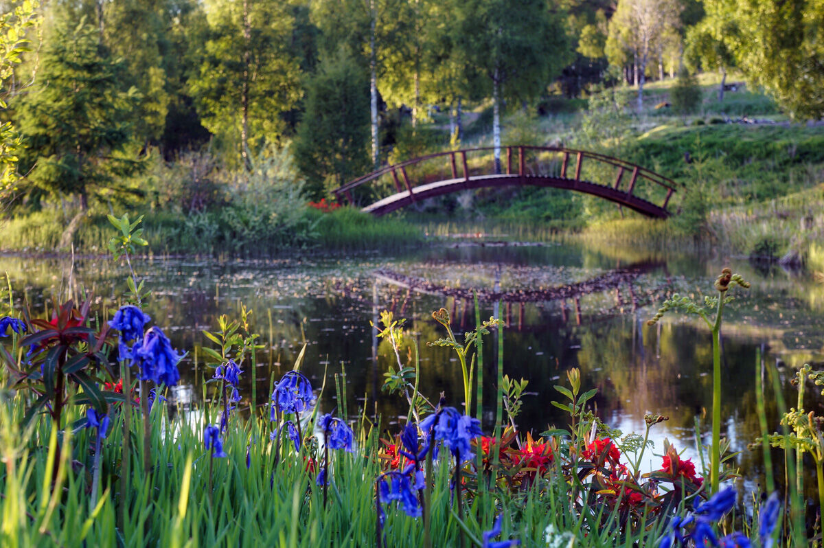 SPRING BLOOMS