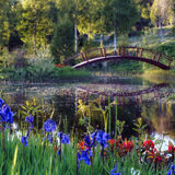 SPRING BLOOMS