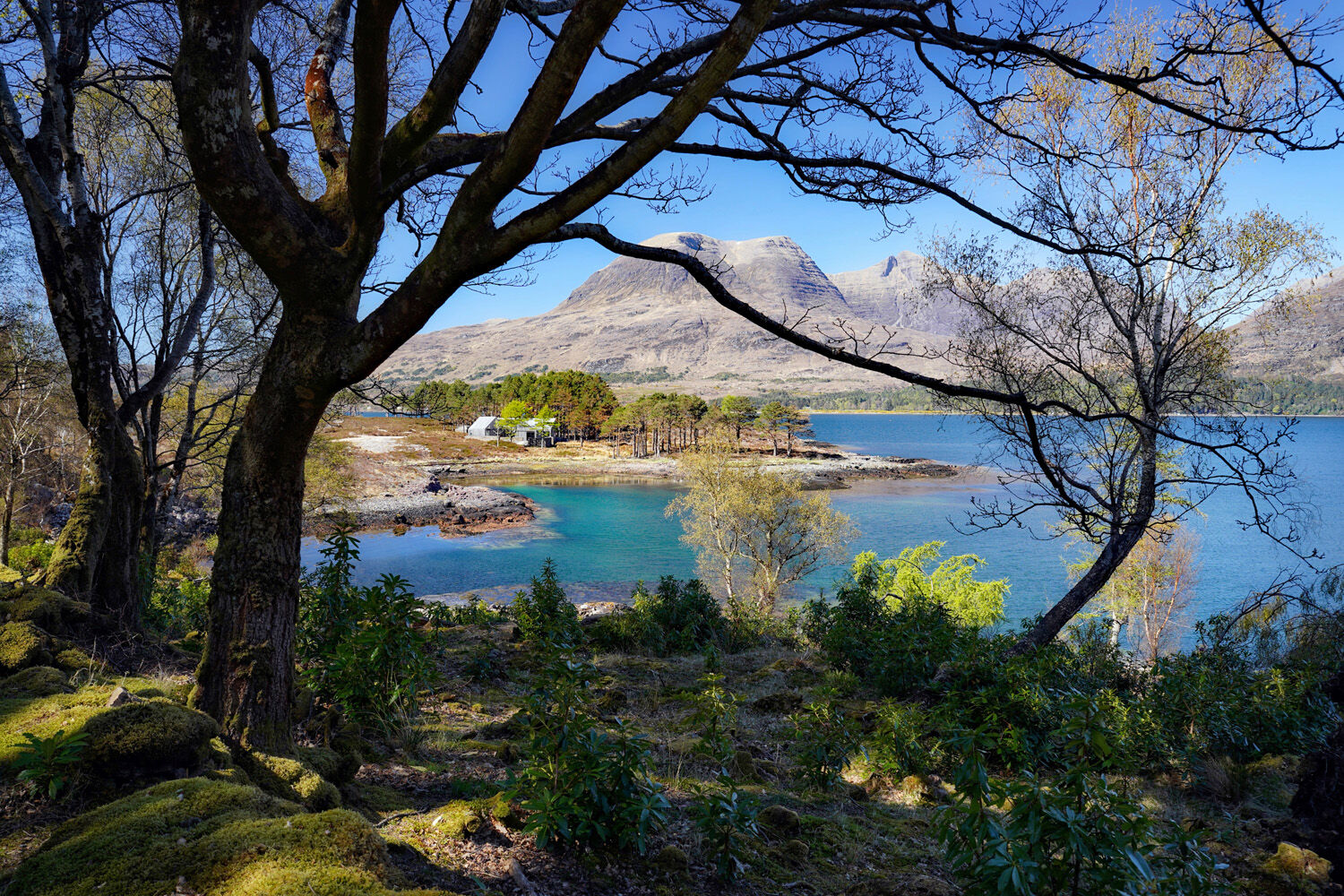 SPRING IN THE HIGHLANDS