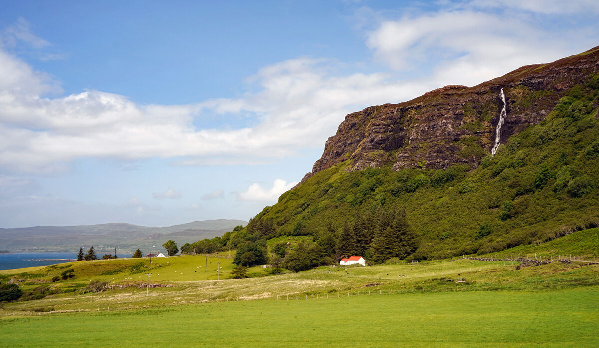 THE RED ROOF