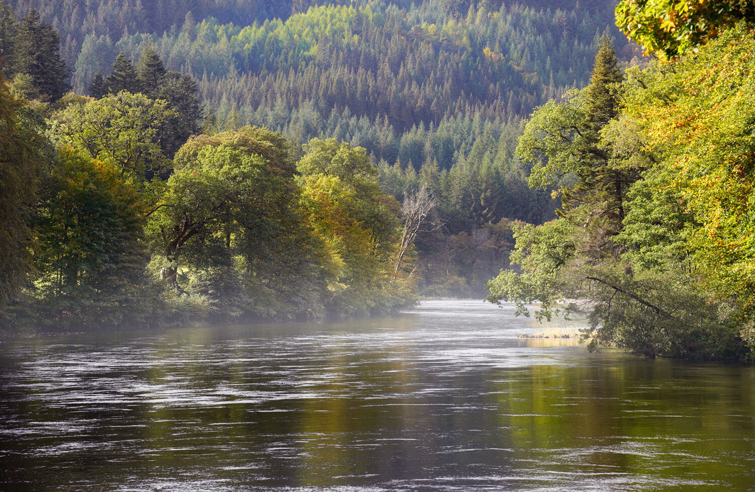 THE TAY, PERTHSHIRE