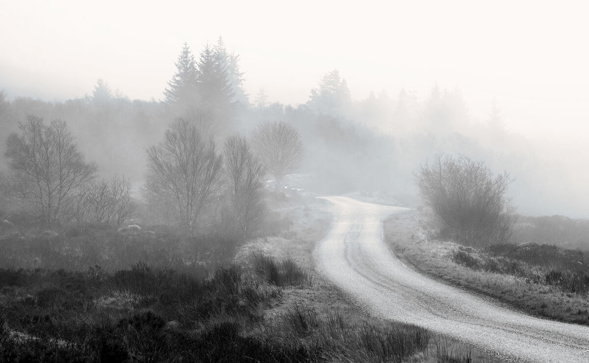 THROUGH THE FOG