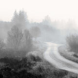 THROUGH THE FOG
