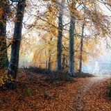 AUTMN MIST AT TALLYSOW