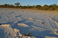 Salt Lake 5 Larnaca Cyprus