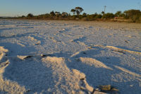 Salt Lake 1 Larnaca Cyprus