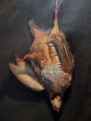 * Still life of a red-legged partridge