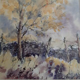 Lynda Wilson Autumn Wall. Watercolour. Unframed 10''x10'' mounted. £35
