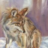 Marjorie Scott ''Canadian Wolf'' Pastel Framed 45 x 41 cm. £100