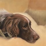 Jeni Taylor . 'I'm so Comfy Here' Pastel on paper. Unframed 10''x7'' Mounted ''14x11'' £45