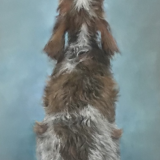 Jeni Taylor. Where's my Treat. Pastel