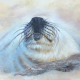 Jackie Walter. Soaking up the Sun. Acrylic