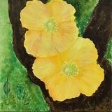 Patricia Davies. Welsh Poppies. Acrylic. 16x16 £25