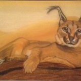 Jean Walker. Desert Caracal. Pastel