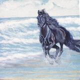 Jean Walker. Free Spirit Acrylic on 12'x12; canvas. £40